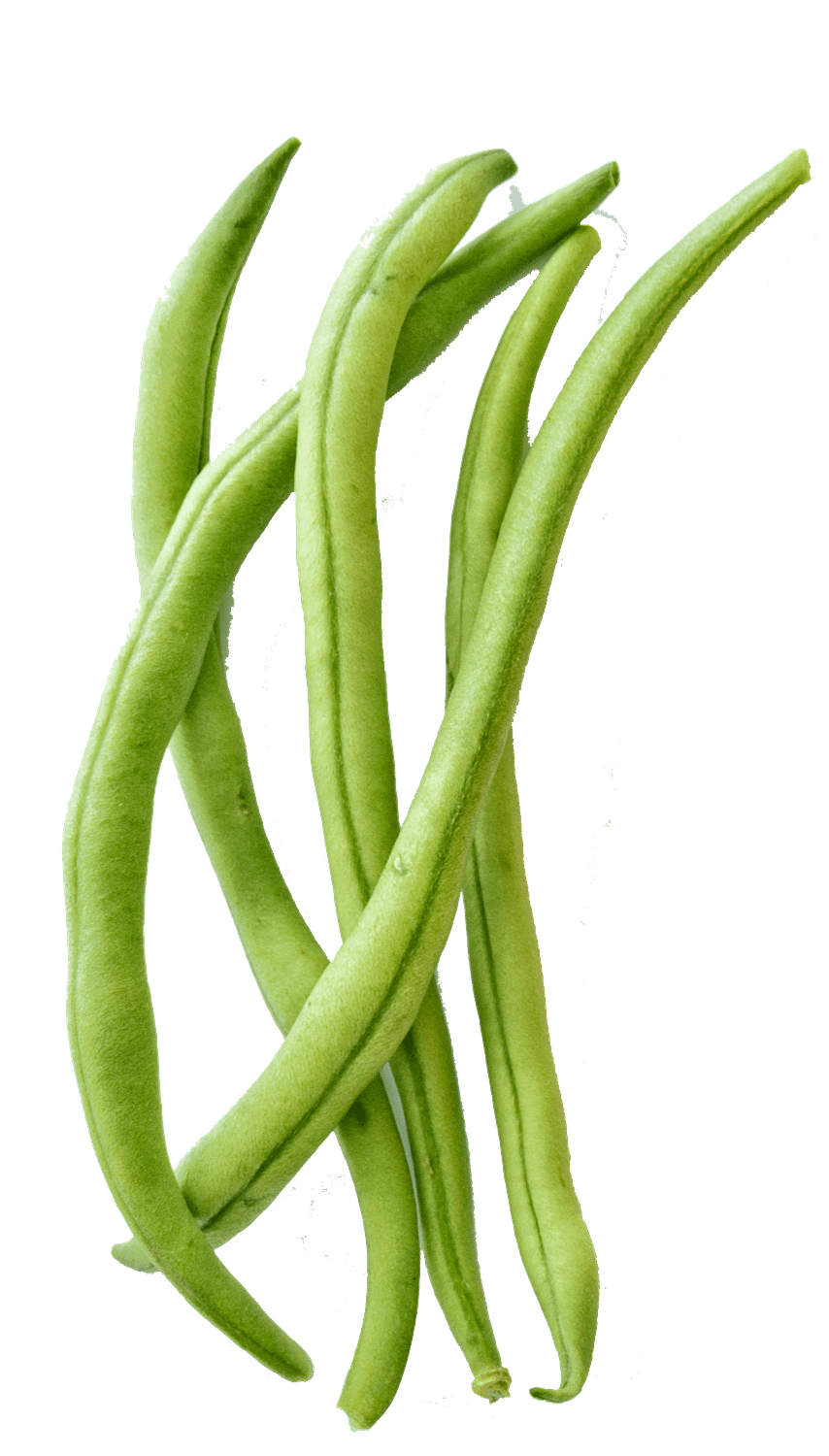 beans